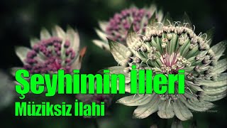 Şeyhimin illeri  Müziksiz İlahi [upl. by Yelad]