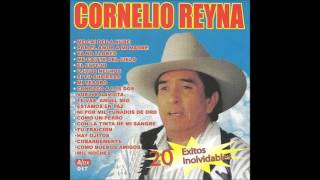 cornelio reyna barrio pobre [upl. by Pickett863]