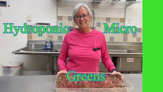 Secrets to Growing Perfect Hydroponic Micro Greens at Home [upl. by Rolfe917]