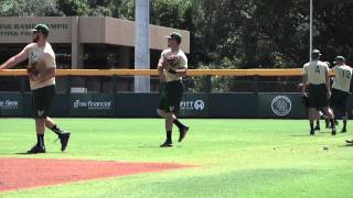 USF Baseball AAC Tournament Preview [upl. by Idnahk]