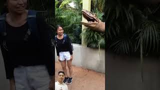 Raptor Jurassic park at universal Orlando shorts viralvideo ytshorts bhim69 [upl. by Nihsfa]