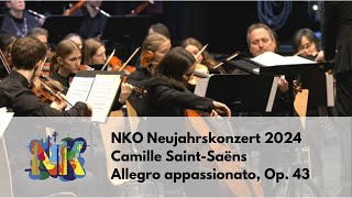 Camille SaintSaëns  Allegro appassionato Op 43  Nagolder Kammerorchester [upl. by Krusche]