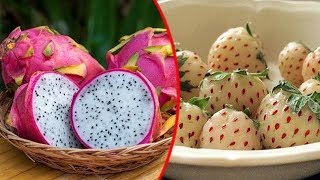 Top 10 Strange Hybrid Fruits That Actually Exist  Pastimers [upl. by Atila]