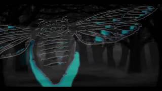 Cicada 3301 Video  2019 CicadaBlackmp4 [upl. by Mylan]