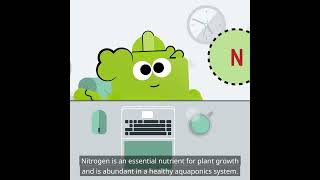 The Nitrogen Cycle  The Magic of the System Introduction to Aquaponics What is Aquaponics [upl. by Yanrahc773]