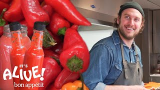 Brad Makes Fermented Hot Sauce  Its Alive  Bon Appétit [upl. by Jori954]