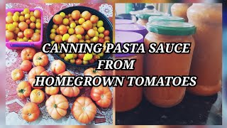 Making and canning tomato curry base passata pasta sauce from homegrown tomatoes Canuary [upl. by Nybor]