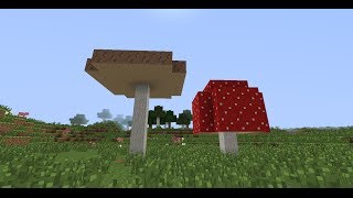 Come far crescere un fungo gigante in Minecraft Tutorial [upl. by Cordle950]