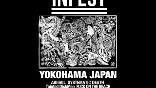 Infest  Live in El Puente  Japan Tour 2017 [upl. by Cathryn]