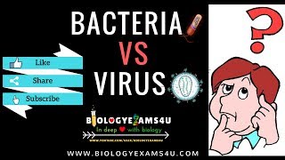 Difference between Virus and Bacteria Virus vs Bacteria [upl. by Une]