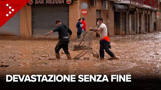 Alluvione Valencia scritte contro i politici La devastazione a Catarroja [upl. by Attej]