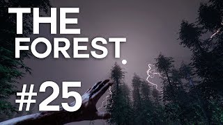 The Forest  Episodul 25 [upl. by Sosthina942]