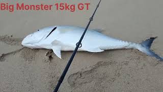 Biggest Monster 15kg Catch with My Tiny Reel Shimano Nexave C5000HGCoastalAngler beachfishing [upl. by Aver]