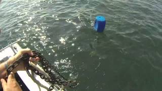 Retrieving your anchor using the float system [upl. by Gertruda]