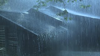 Falling Asleep with Torrential Rain amp Thunder Reverberated on Dull Corrugated Iron Roof at Night [upl. by Uchish]