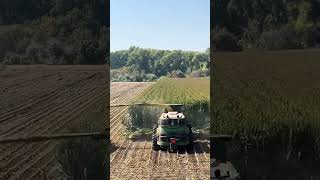 Forage Harvester 🌾 shortsvideo chopping corn [upl. by Shamrao54]