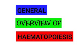 HAEMATOPOIESIS OVERVIEW [upl. by Samy]