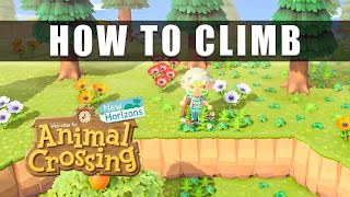 Animal Crossing New Horizons how to climb up the high cliff  How to get the ladder [upl. by Libenson]