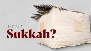 What Is a Sukkah [upl. by Eirdua132]