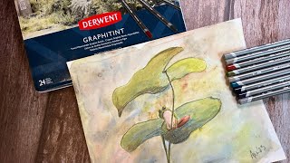 Derwent Graphitint Pencils Review [upl. by Taro]