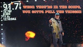 Norris lake Bass fishing October 12th [upl. by Harland]