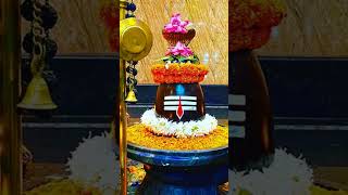 song music youtubeshorts mahadev  omnamahshivayomnamahshivay [upl. by Livingston]