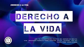 Derecho a la vida [upl. by Hatnamas580]