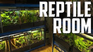 Todas Mis Mascotas Exoticas  Reptile Room Tour [upl. by Keviv]