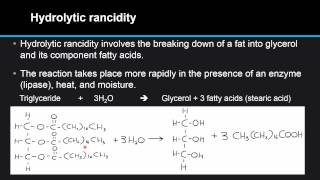 F34 Compare the processes of hydrolytic and oxidative rancidity in lipids [upl. by Annaliese]