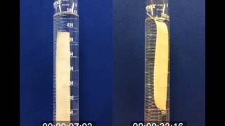 Wetting agent vs Conventional Surfactant [upl. by Shimkus313]