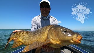 Carp on a fly Beaver Island  Chronicle Clip 21 [upl. by Waligore11]