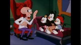 Animaniacs Episode 6C What Are We [upl. by Zaraf169]