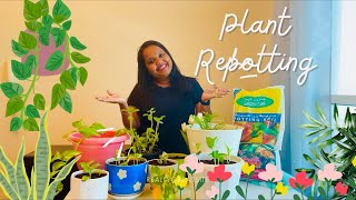 A Day Of Plant Care🌱🇦🇪  A Positive Day  Anjali Sreedharan  Malayalam Vlog  Aesthetic  Dubai🇦🇪 [upl. by Lassiter]