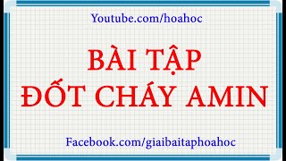 Hỗn hợp E gồm amin X no mạch hở và hiđrocacbon Y số mol X lớn hơn số mol Y Đốt cháy hết 026 [upl. by Renckens]