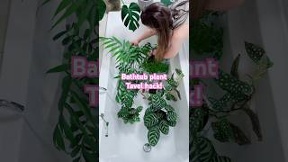 The bathtub method Hacks for watering plants whilst on vacation plantlover [upl. by Merfe]