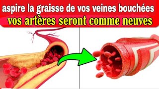 9 aliments pour aspirer la graisse de vos artères éliminer lexcès de cholestérol dans le sang [upl. by Anaeerb975]