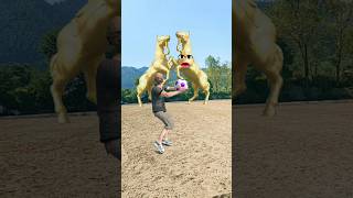 Golden Horse VS Man 🐎🐎 Funny Video shorts funny youtubeshorts [upl. by Ysnap31]