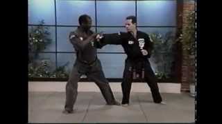 Kenpo Karate Ed Parker American Kenpo Sophisticated Basics Vol 1 [upl. by Annaeiluj]