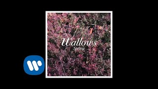 Wallows  Let The Sun In Official Audio [upl. by Rufus739]