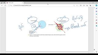 GED Life Science Course Last Part [upl. by Drofnelg]