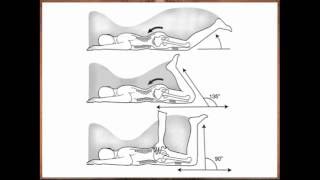 What Goes into Optimal Movement Quality [upl. by Namar]