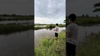 Catching fish  Technical catch fish in the river  Vlog catching fish [upl. by Eicarg]