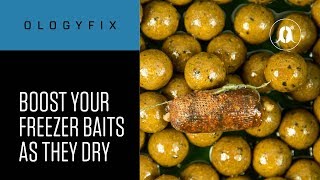 CARPologyTV  How to boost your freezer baits as they air dry [upl. by Shoemaker]