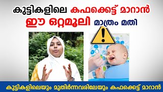 കഫക്കെട്ട് മാറാൻ ഈ ഒറ്റമൂലി മാത്രം മതി  kapha kettu maran ottamooli  Arogyam [upl. by Yawnoc]