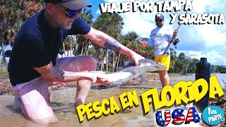 ▶️Pesca en Florida EEUU Tampa Sarasota [upl. by Furr]