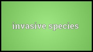 Invasive species Meaning [upl. by Ainaled]