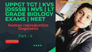 Oogenesis  Gametogenesis Human reproduction  Uppgttgtbiology  KVSpgt DSSSB NEET NVS Biology [upl. by Nosidda]