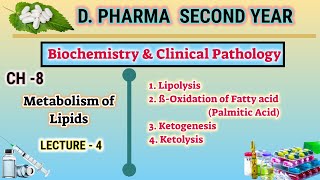 Lipid metabolism  CH8  L4  Biochemistry and clinical pathology  DPharm second year [upl. by Samella721]