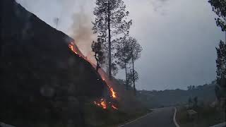 Forest Fire in Uttarakhand along the Seraghat to Dhaulchhina stretch [upl. by Merlina]