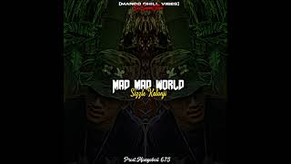 Mad Mad WorldSizzla KalonjiMangoboii 675 Remix2024 [upl. by Euginimod]